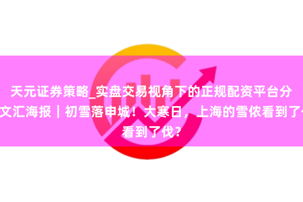 天元证券策略_实盘交易视角下的正规配资平台分析 文汇海报｜初雪落申城！大寒日，上海的雪侬看到了伐？