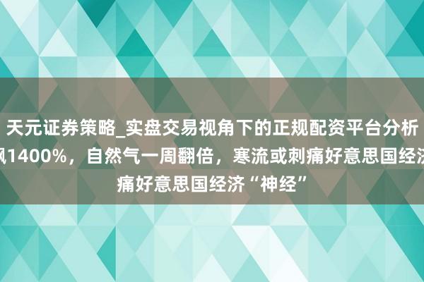 天元证券策略_实盘交易视角下的正规配资平台分析 电价狂飙1400%，自然气一周翻倍，寒流或刺痛好意思国经济“神经”